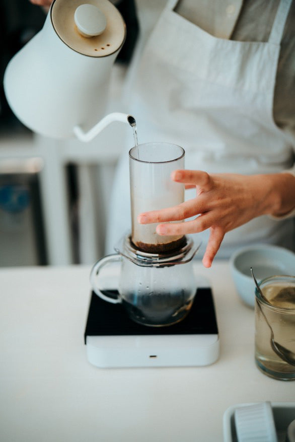 再入荷!【国内送料無料&100gコーヒー豆付!】エアロプレス クリア AeroPress Coffee Maker - Clear