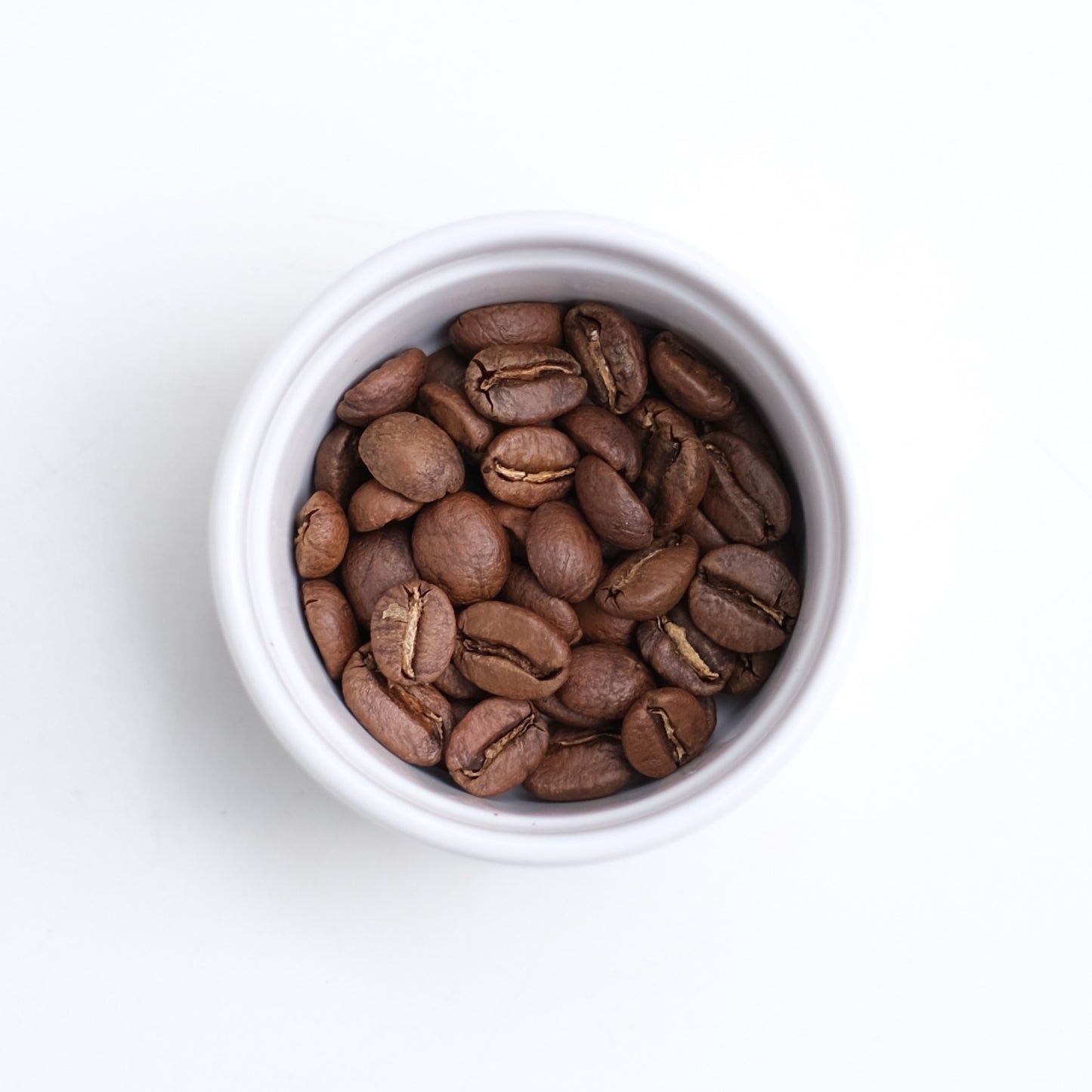 【 New! 】El Salvador Santa Elena エルサルバドル サンタエレナ農園