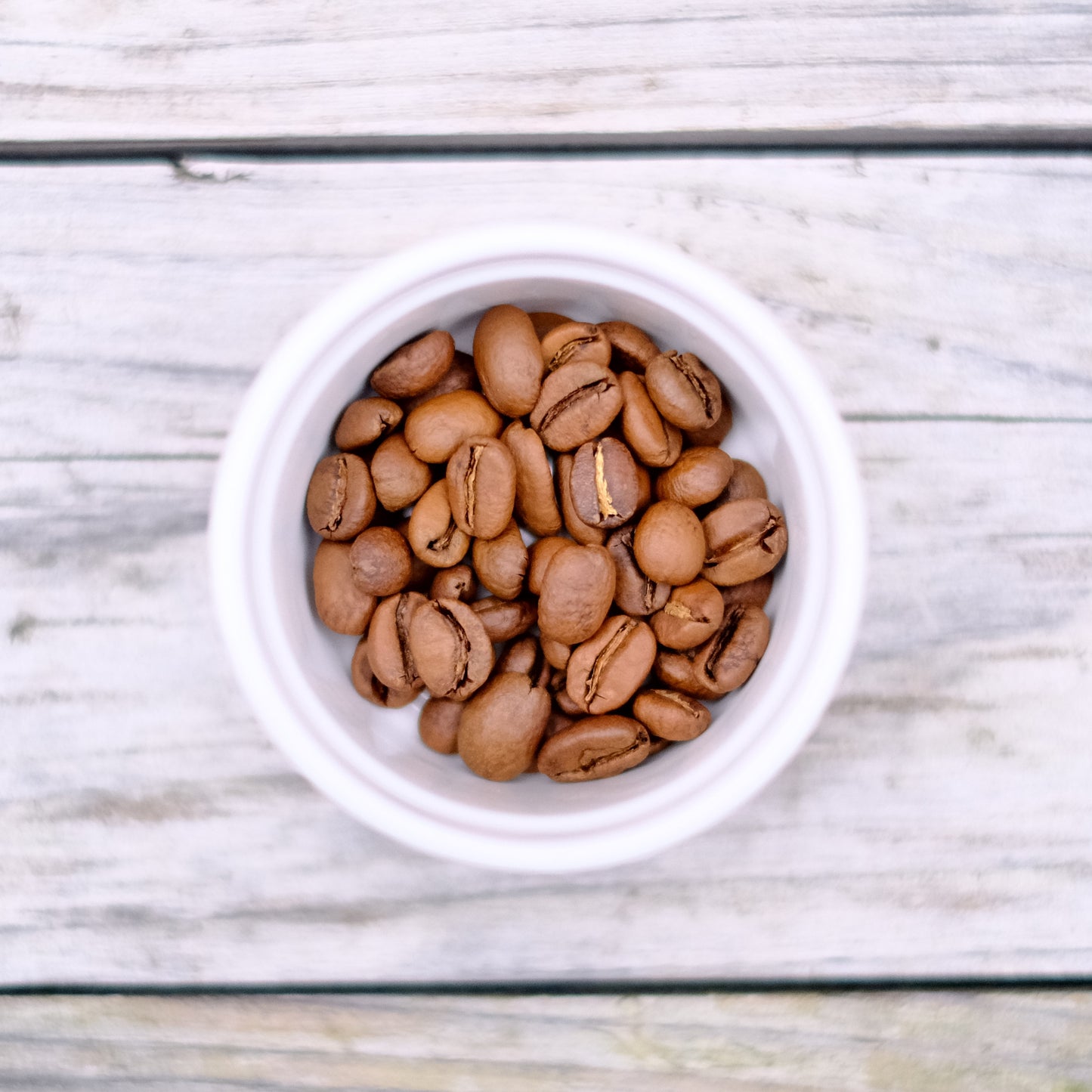 Ethiopia Chelbesa Natural エチオピア チェルベサ ナチュラル