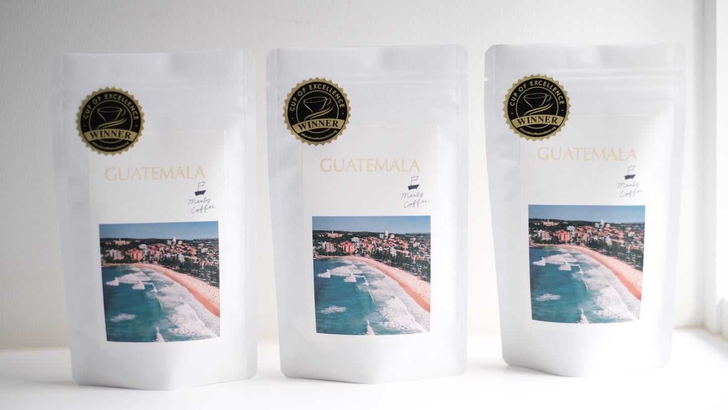 【 COE 】Guatemala Kalibus La Sierra Geisha グアテマラ カリバス ラ シエラ農園ゲイシャ