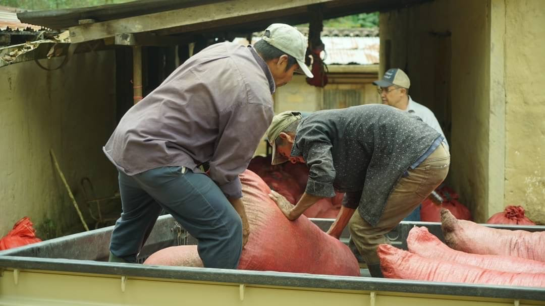 【送料無料】ニカラグア エルポルベニール農園 セルヒオさん飲み比べセット
