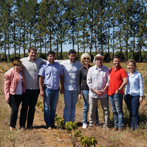 Brazil Daterra　ブラジル ダテーラ農園