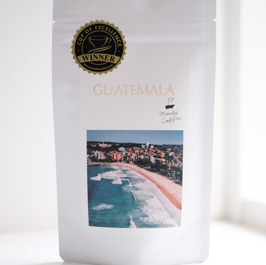 【 COE 】Guatemala Kalibus La Sierra Geisha　グアテマラ　カリバス ラ シエラ農園ゲイシャ