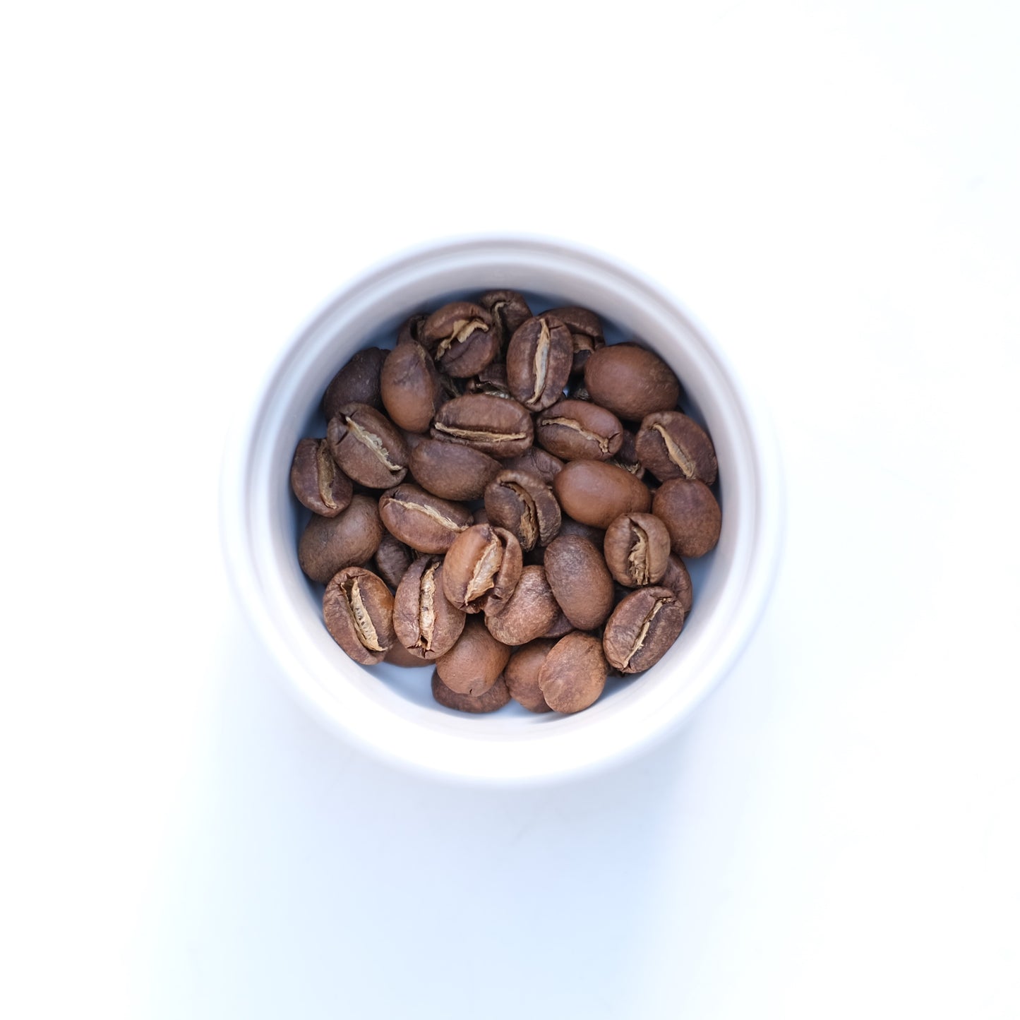 【 New!  】Nicaragua El Porvenir Java  ニカラグア エルポルベニール農園